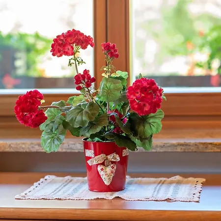 Lägenhet Cesa Soramurat 3 Canazei