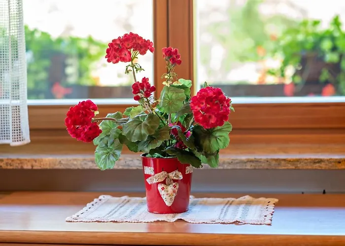 Lägenhet Cesa Soramurat 3 Canazei